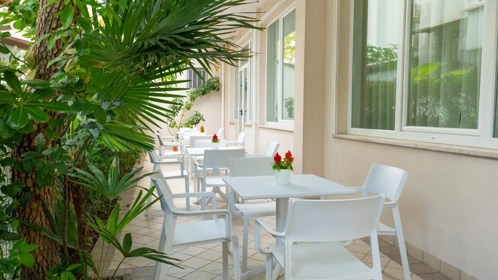 Hotel Negresco Riccione 3*,