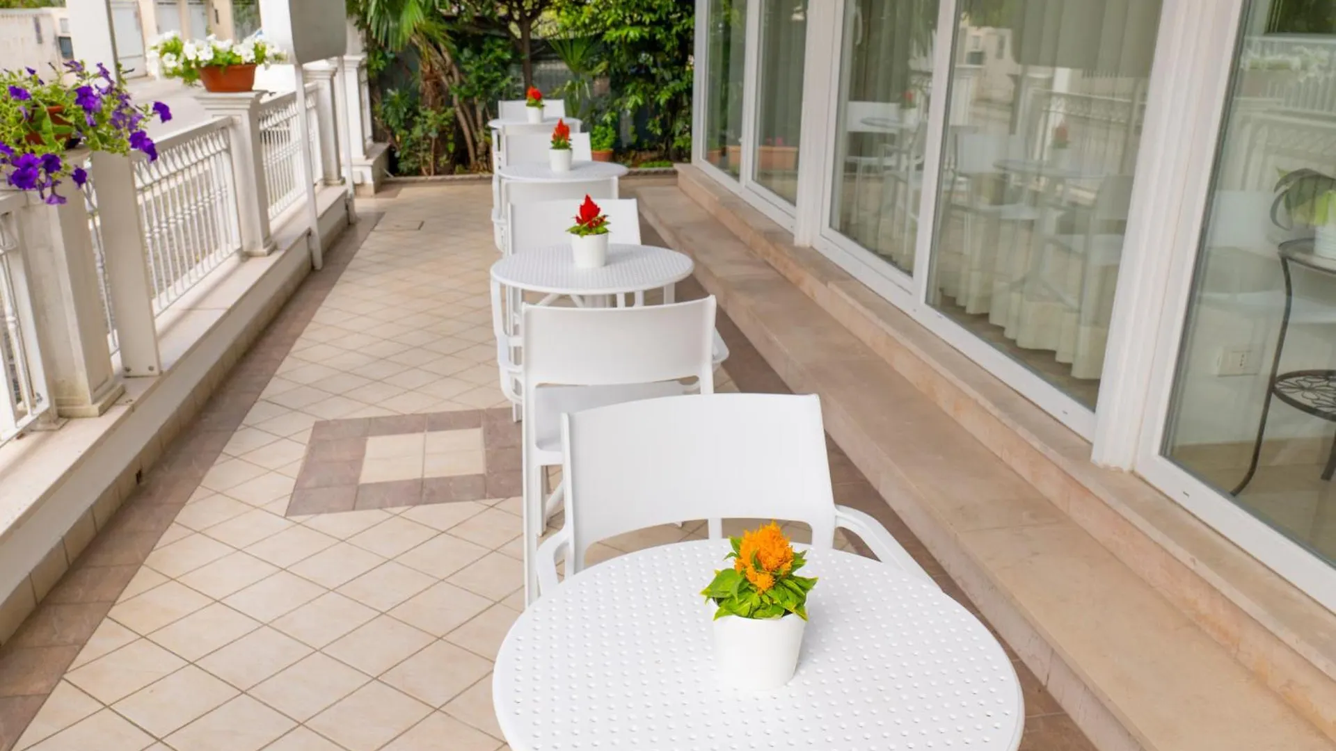 Hotel Negresco Riccione 3*,